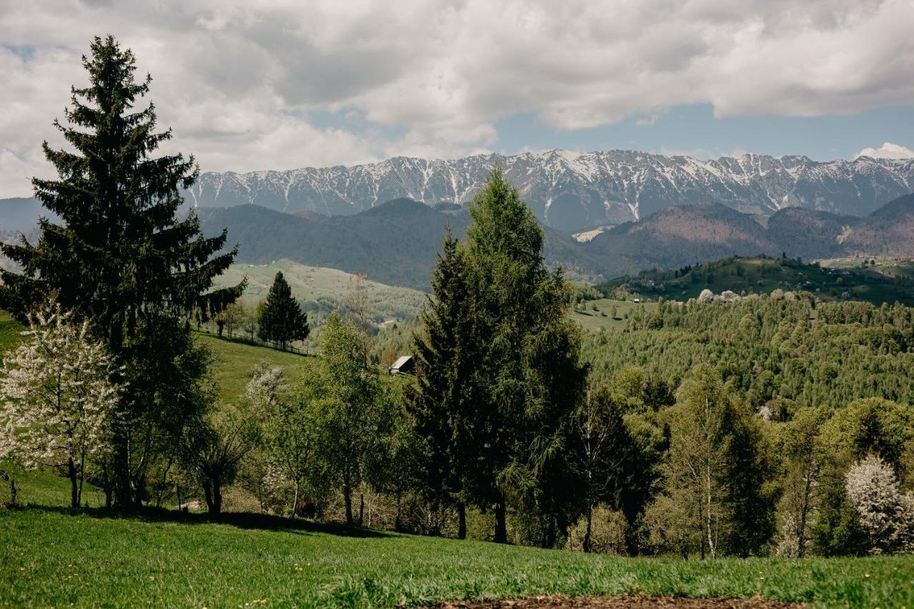 Silver Mountain B12 Poiana Brasov Exterior photo